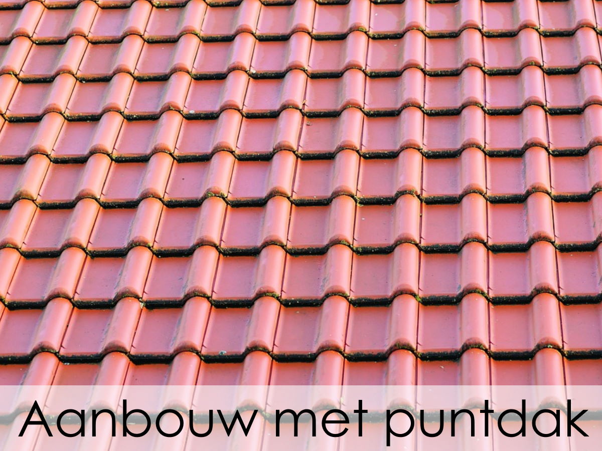 Aanbouw met puntdak