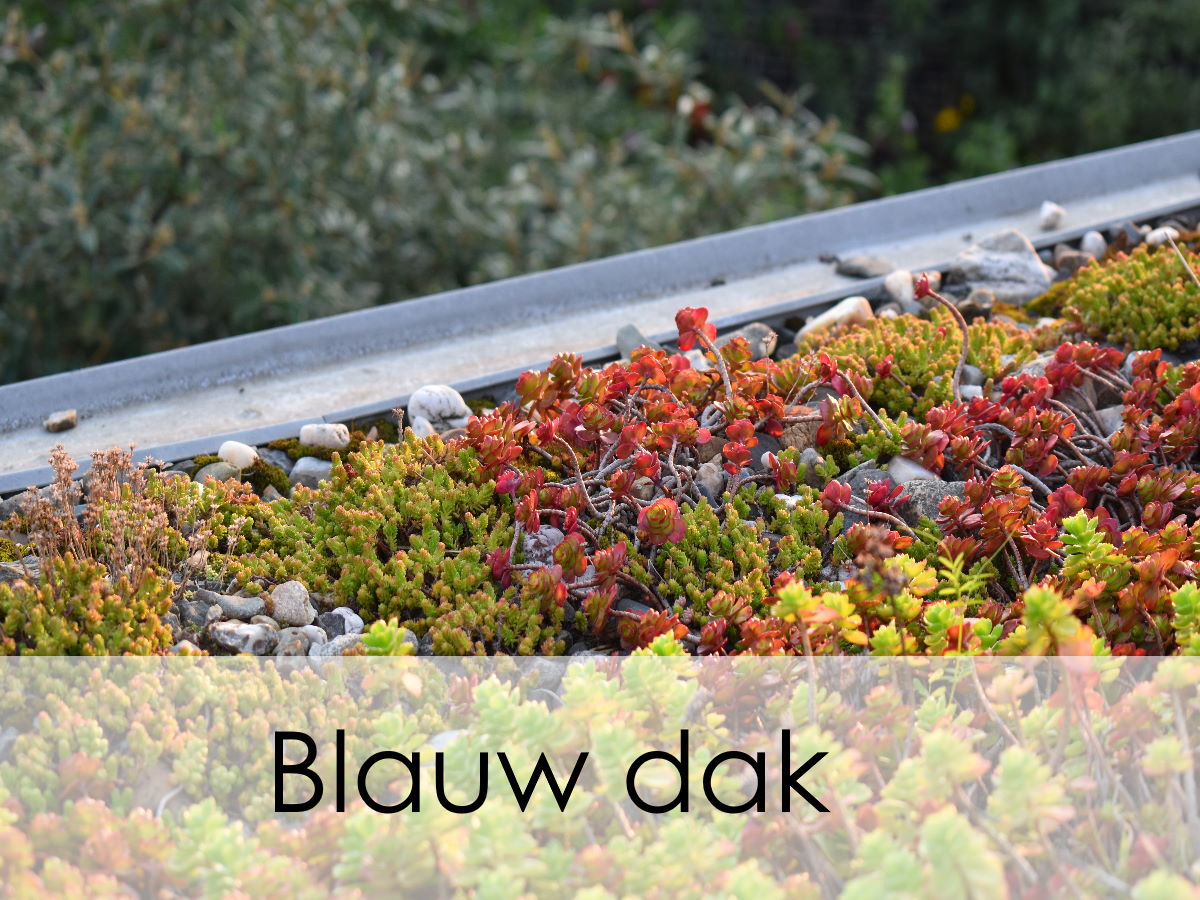 blauw dak van dichtbij