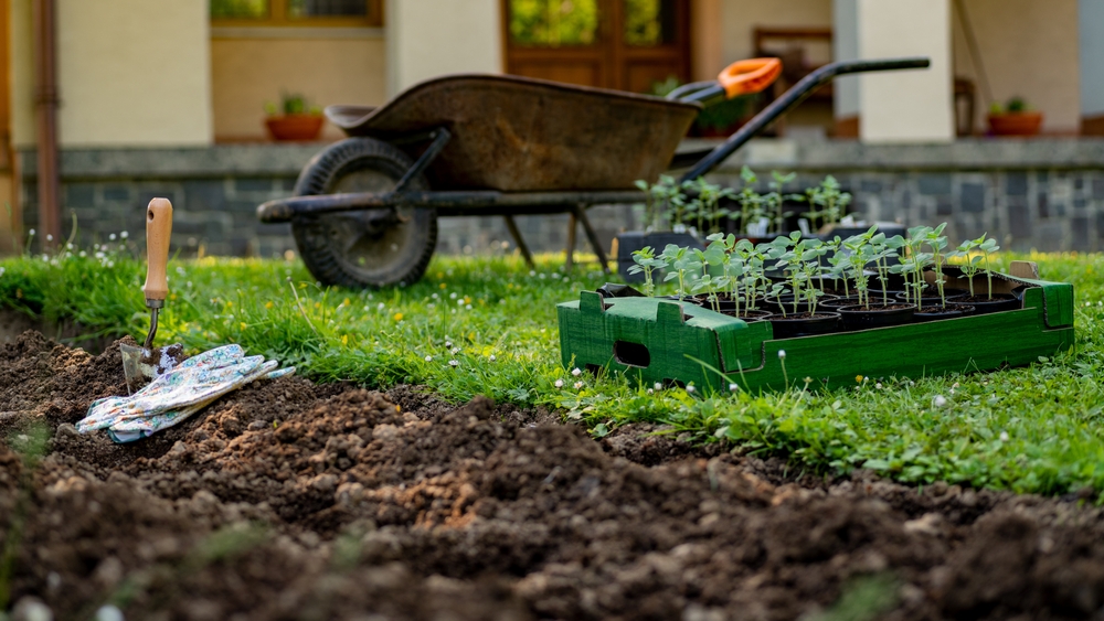 Tuinrenovatie kosten