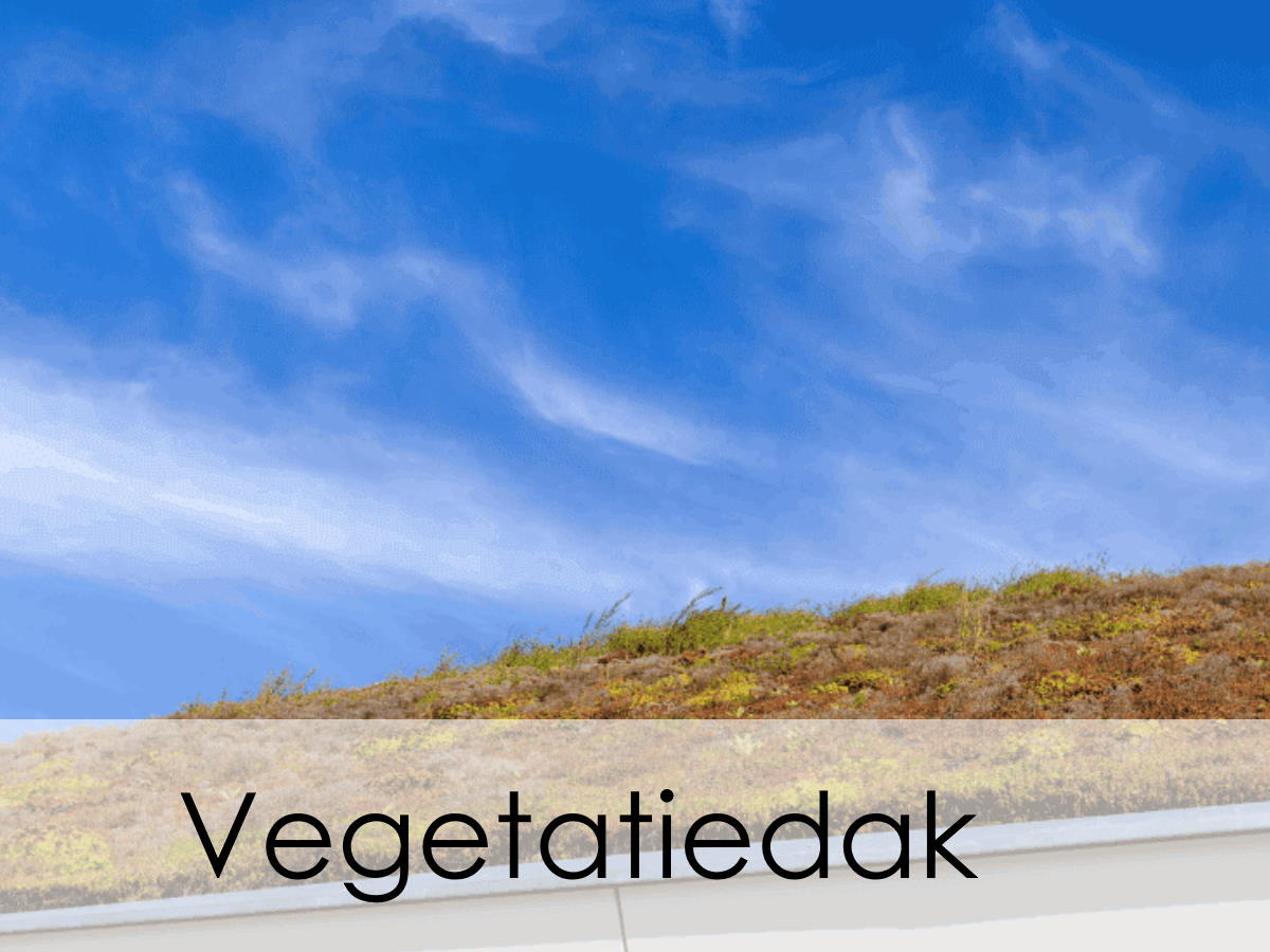 vegetatiedak