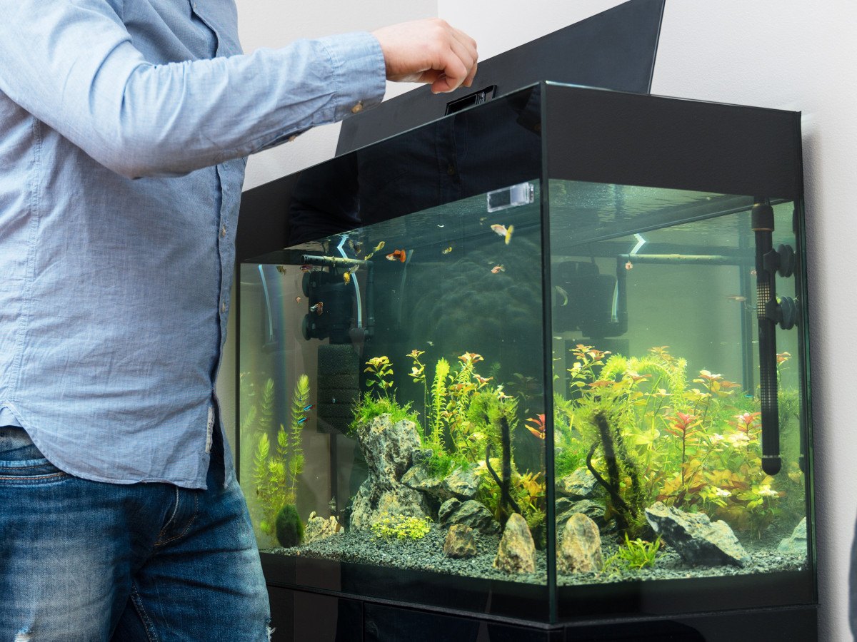 aquarium water wordt getest na waterontharder