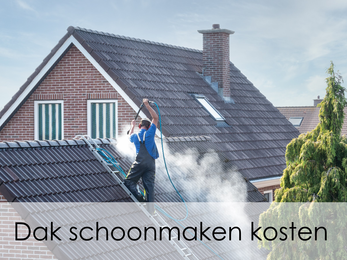 dak schoonmaken kosten