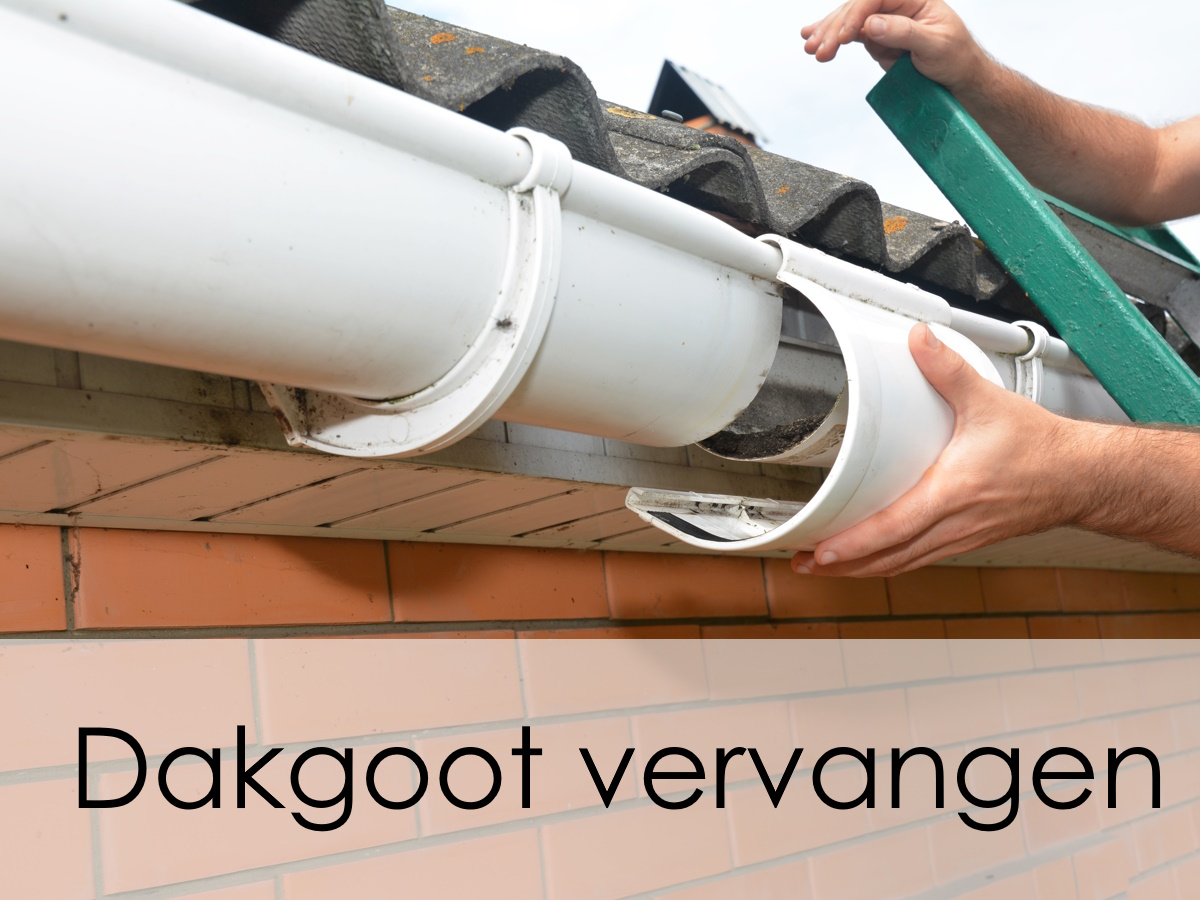 dakgoot vervangen