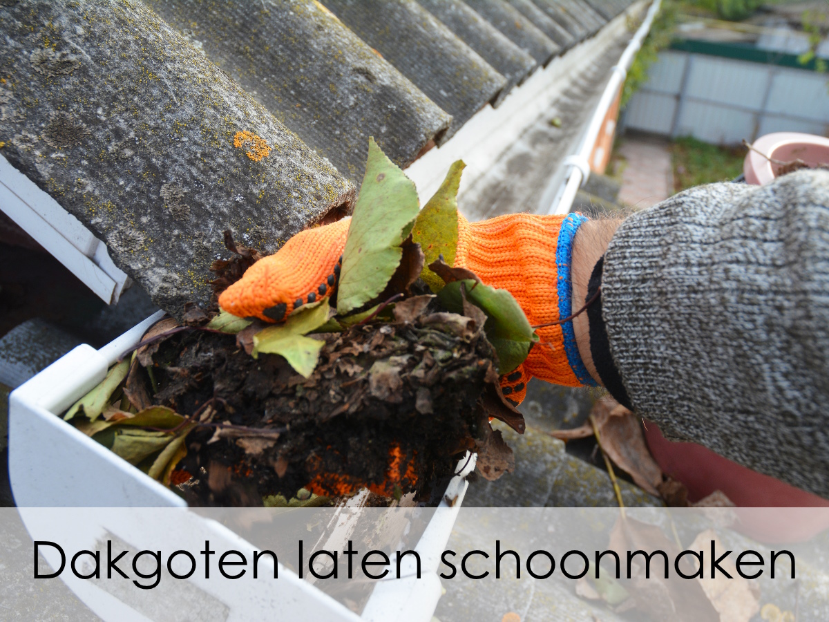 dakgoten laten schoonmaken