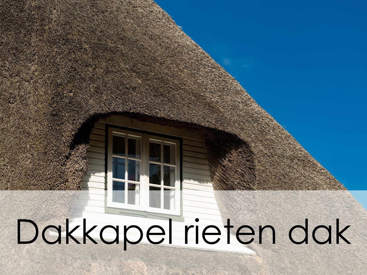 dakkapel rieten dak