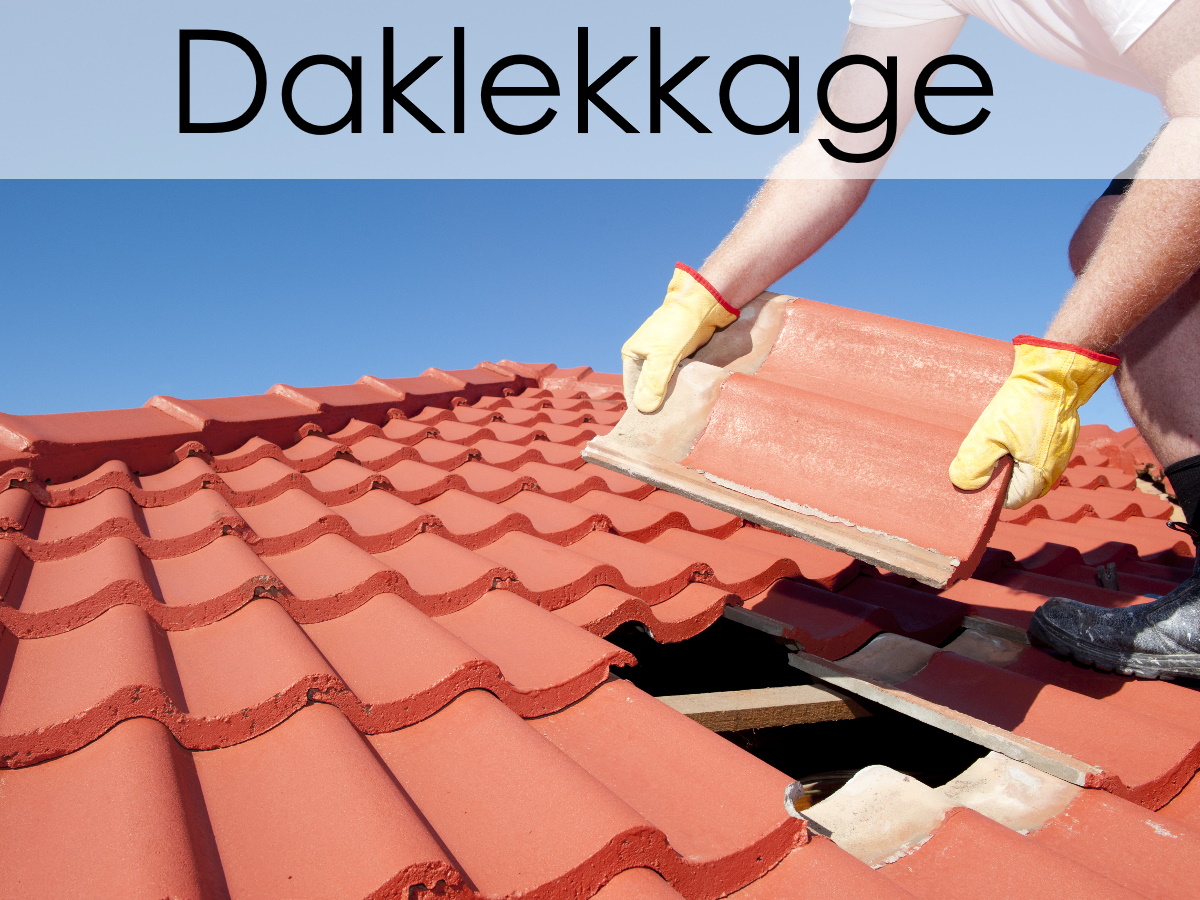 daklekkage opsporen