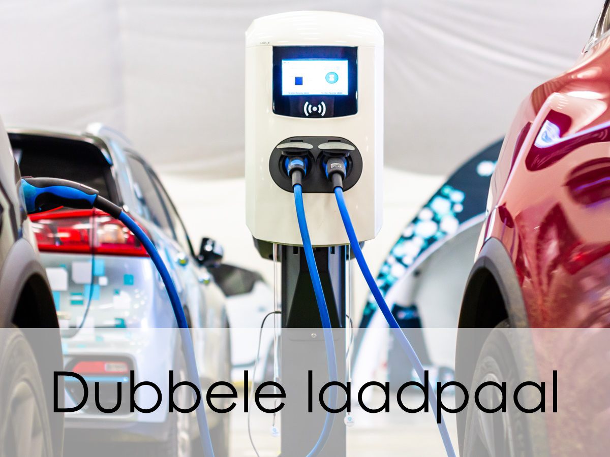 dubbele laadpaal