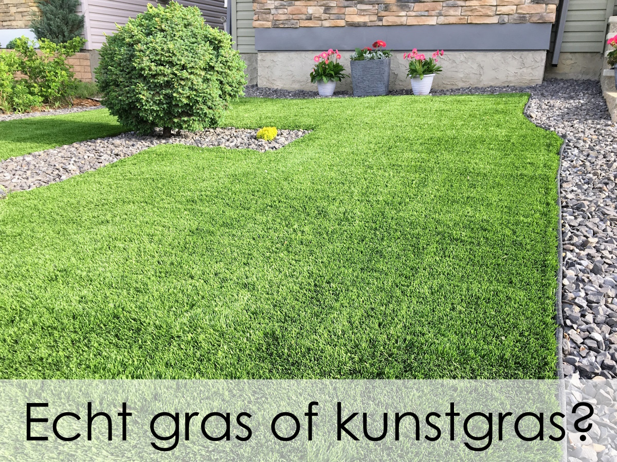 echt gras of kunstgras