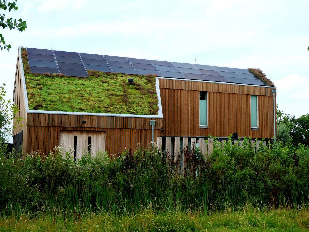 groen dak met zonnepanelen