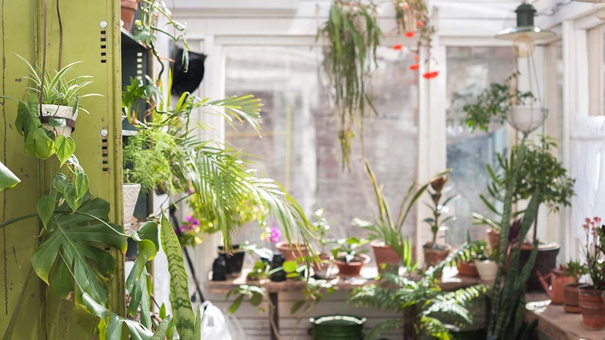 Mooie wintertuin met veel bloemen in potten. Ruimte voor privacy en sport, zelfontwikkeling.