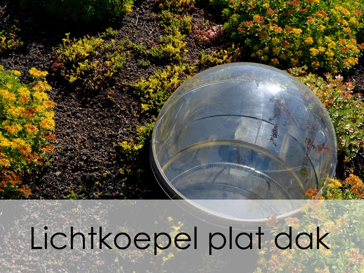 lichtkoepel plat dak