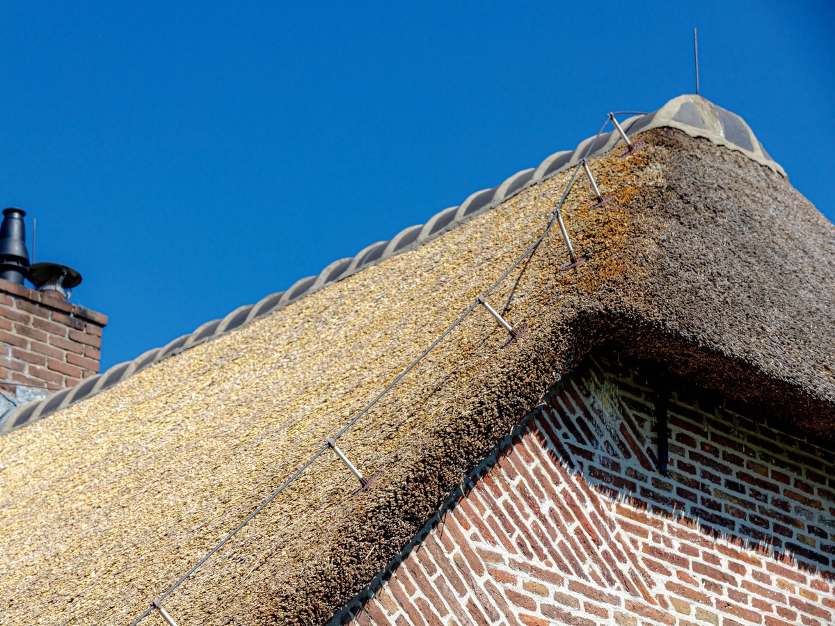 rieten dak op woning