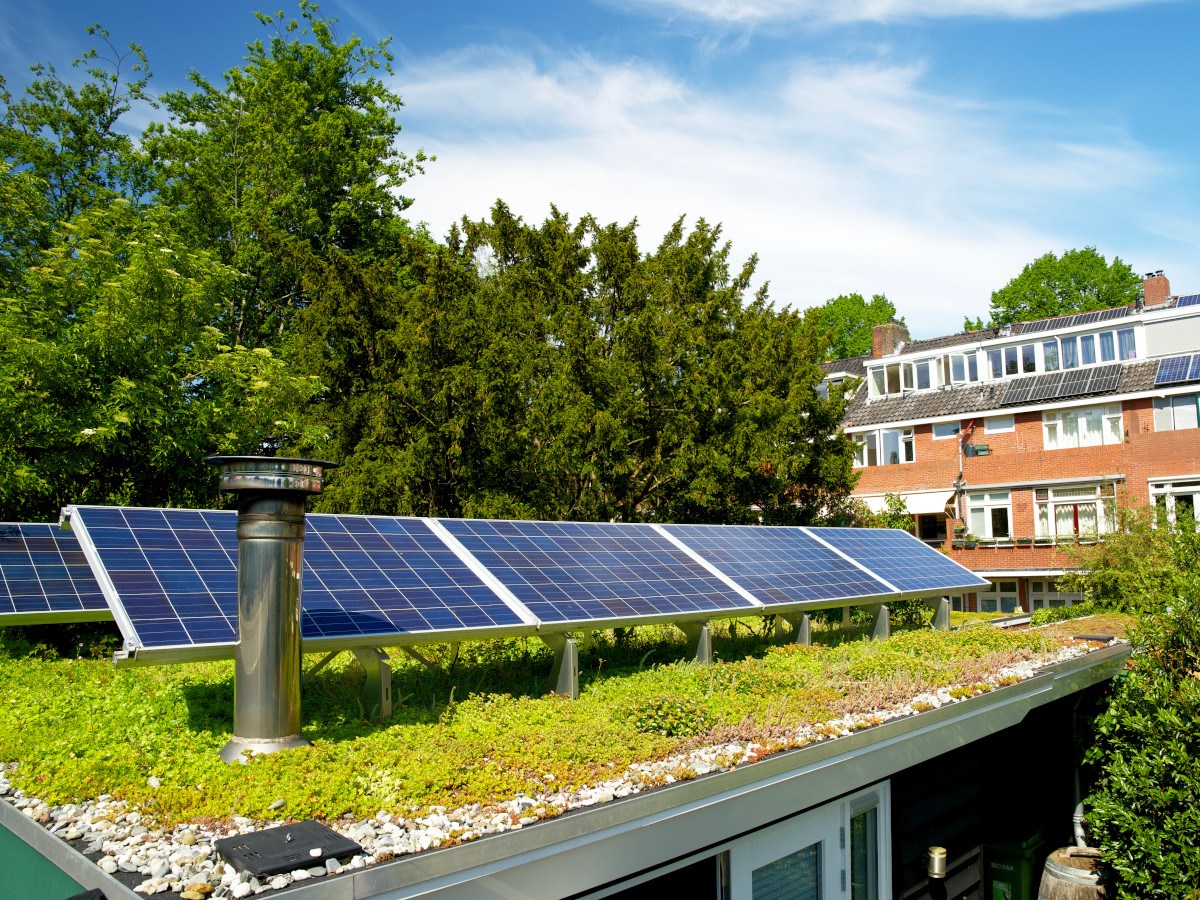 sedumdak met zonnepanelen