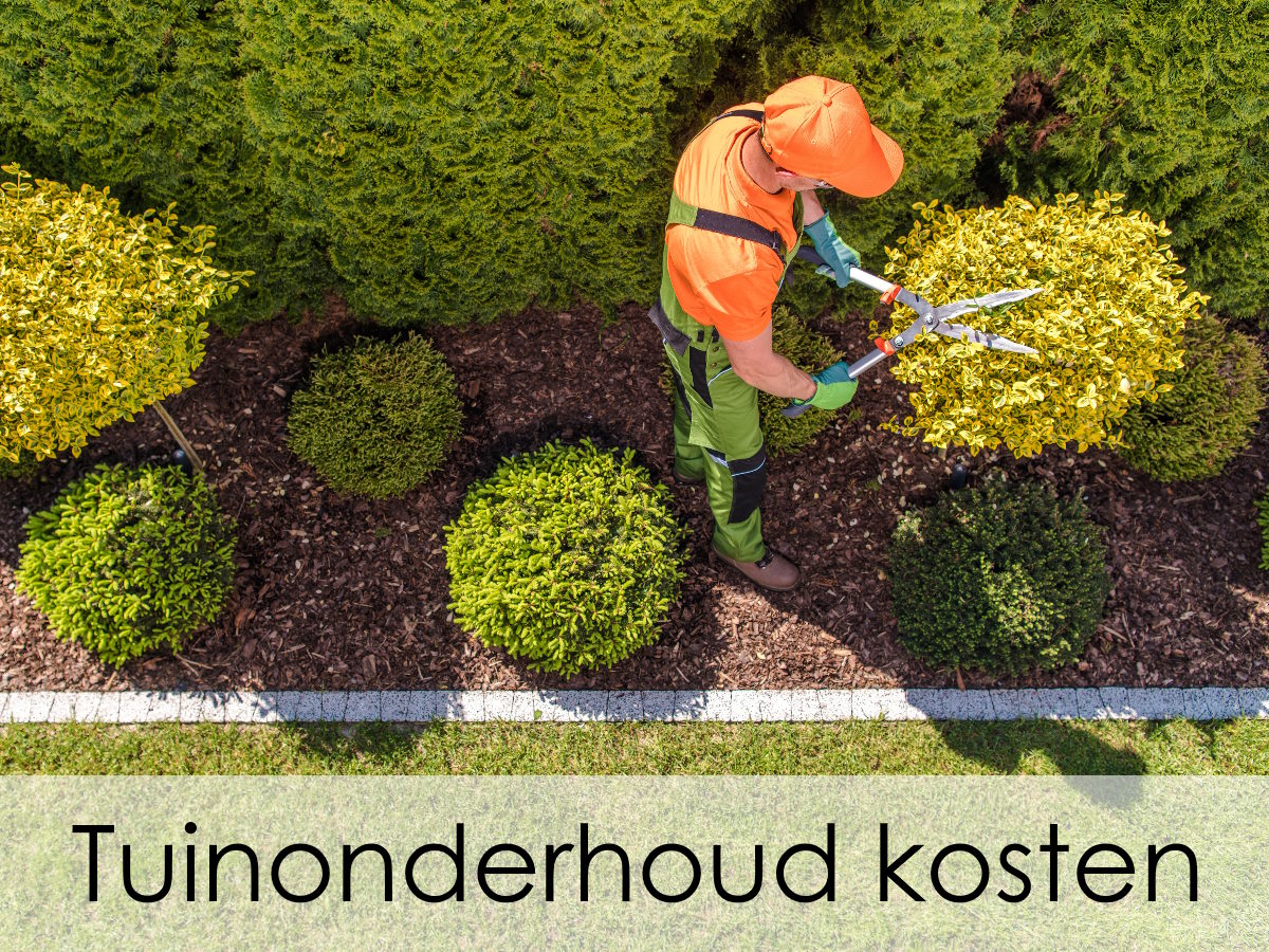 tuinonderhoud-kosten