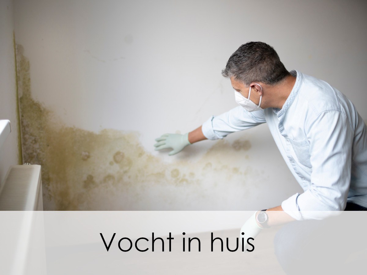 schimmelproblemen door vocht in huis