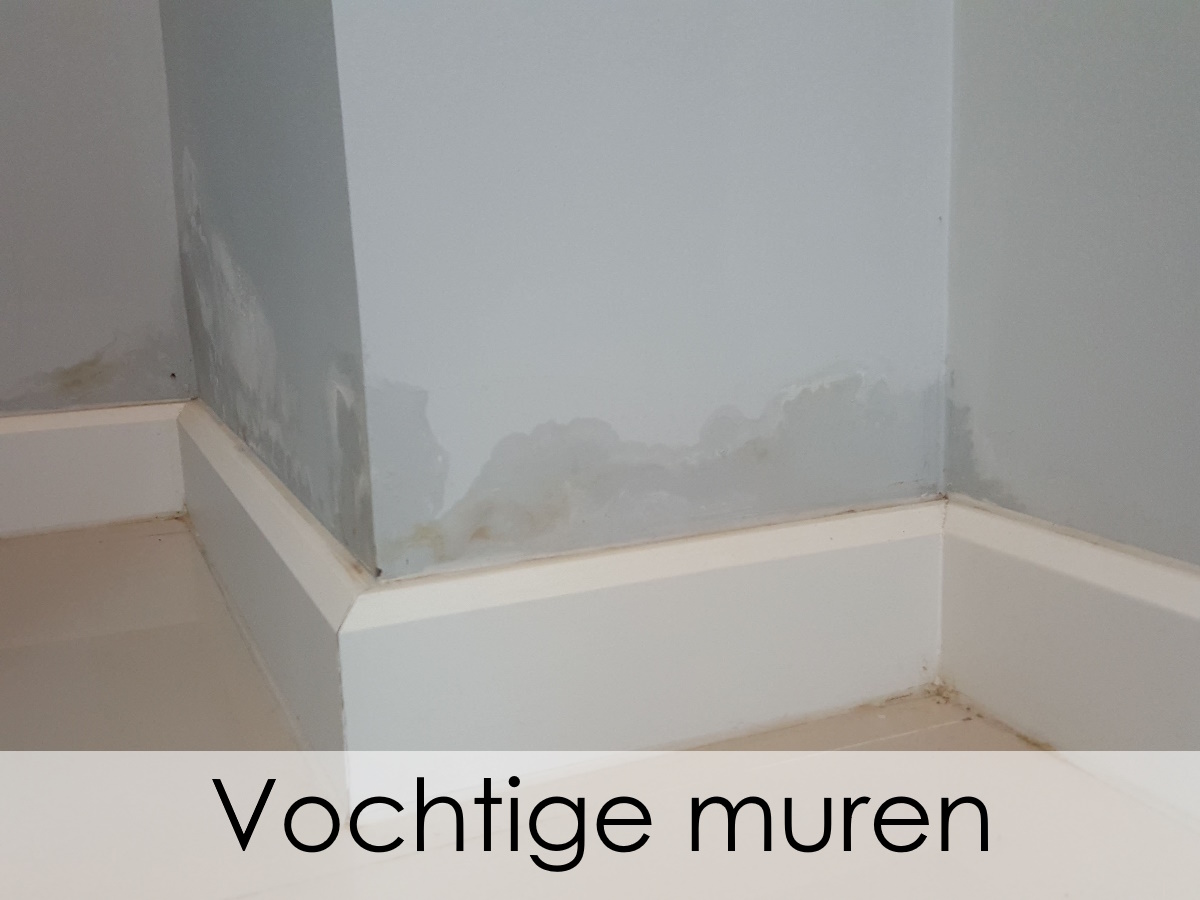 vochtige muren