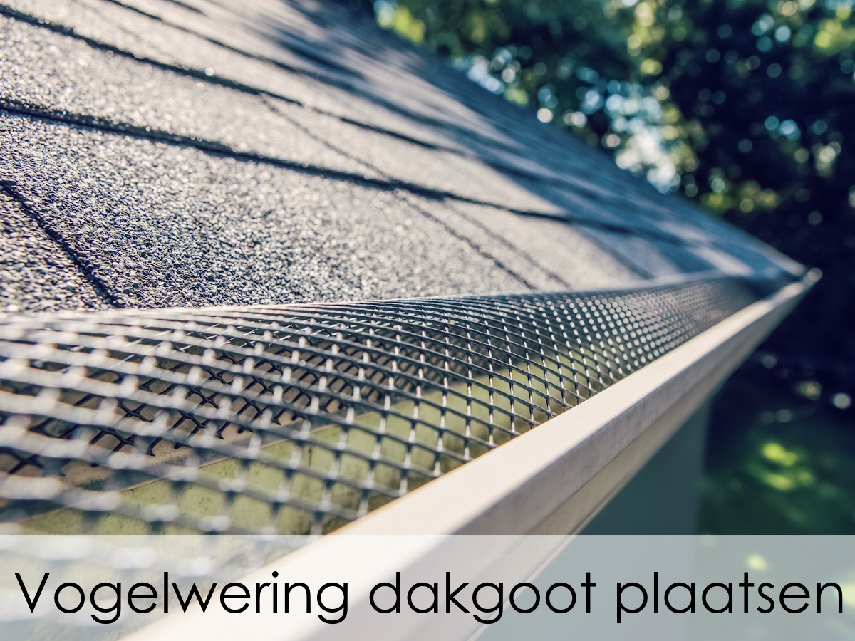 vogelwering dakgoot plaatsen