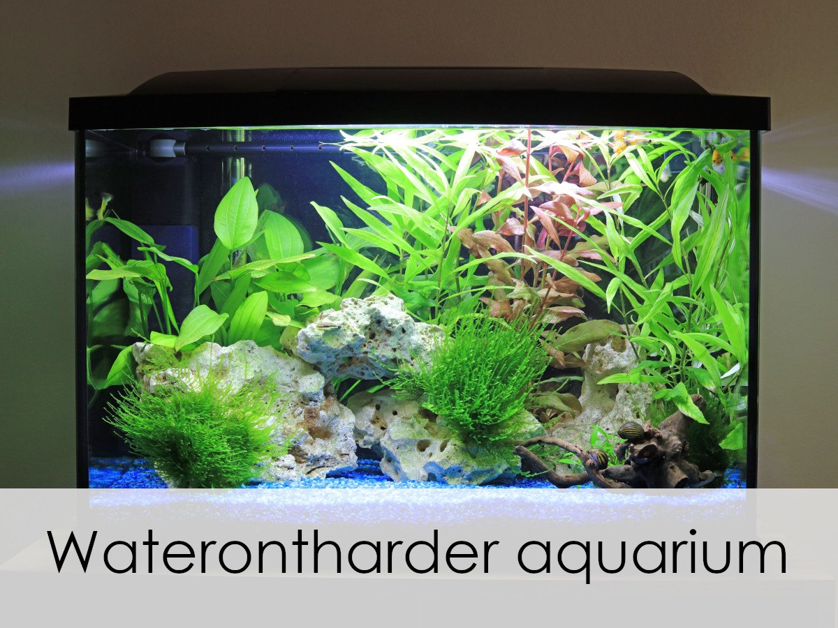 aquarium met onthard water