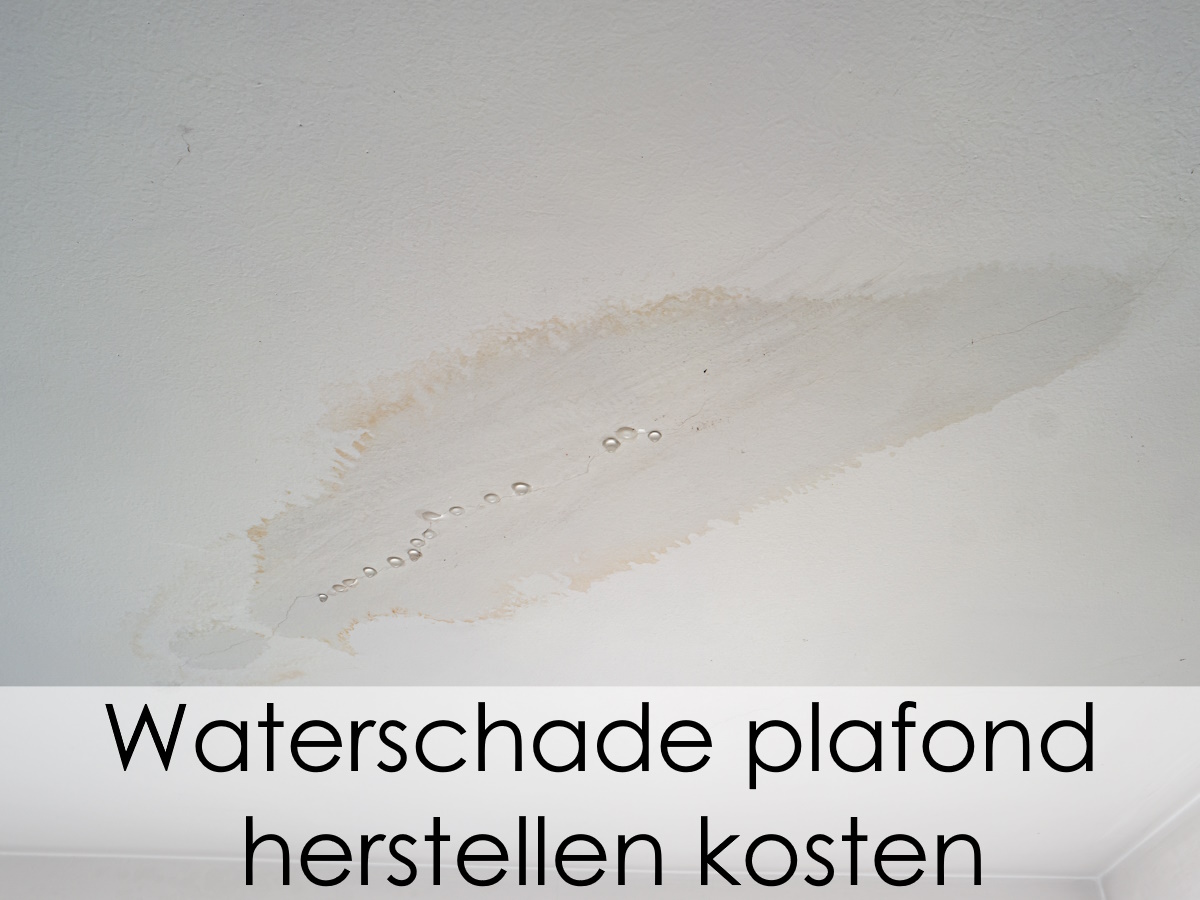 waterschade plafond herstellen kosten