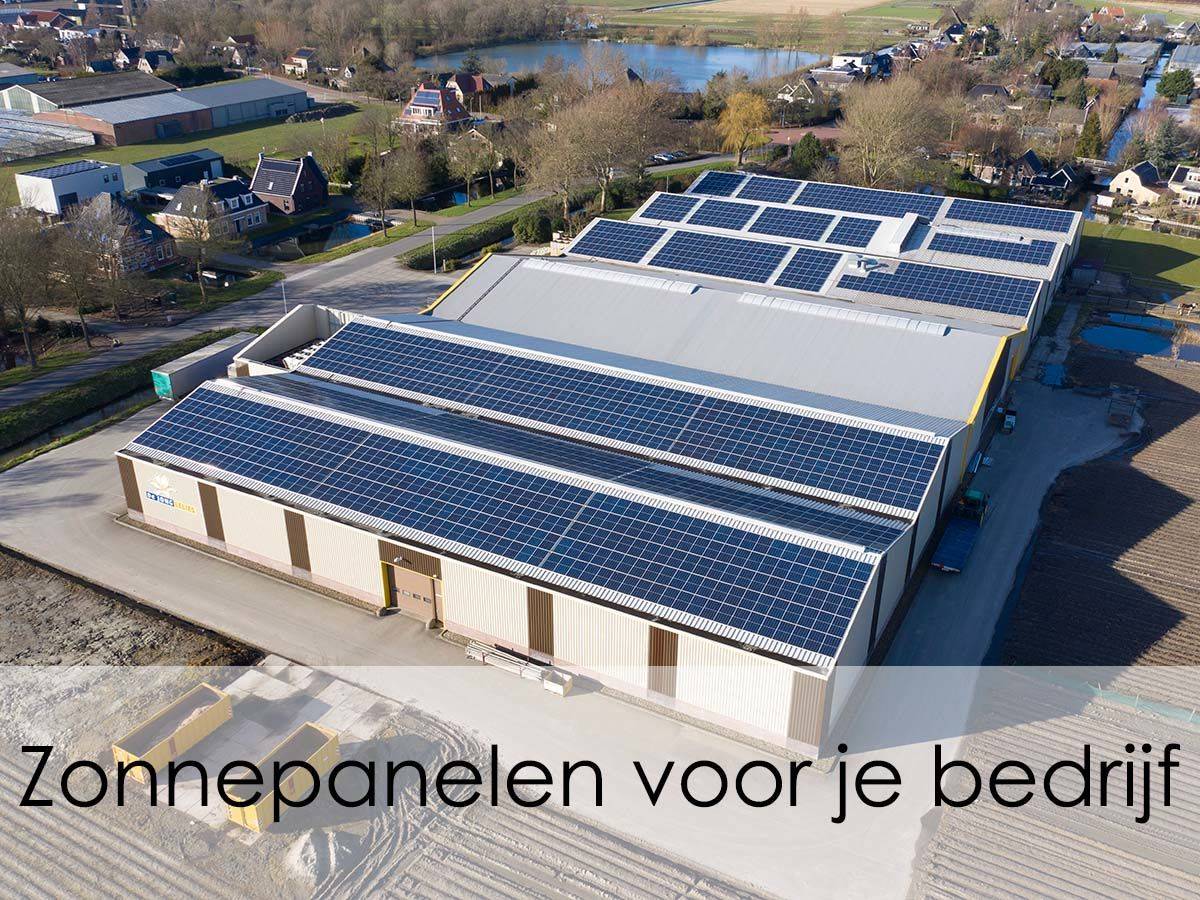 Zonnepanelen voor je bedrijf